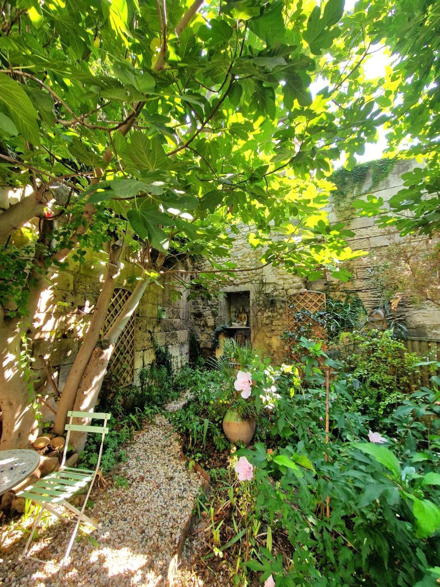 Capucines, Un Jardin Secret Dans Le Centre Historique Arles Exterior foto